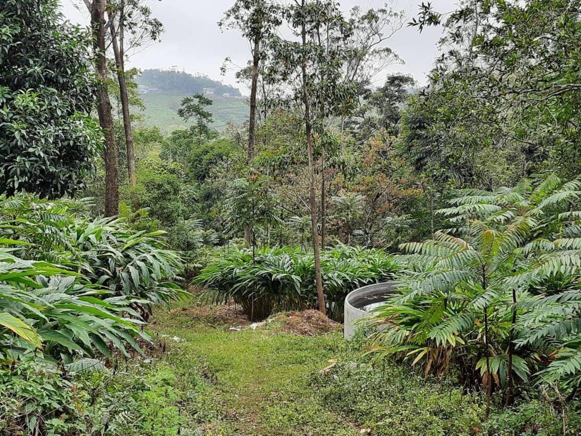 Cassells Jungle Resorts Thekkady Vandiperiyār Екстериор снимка