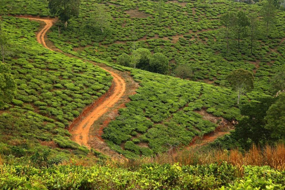 Cassells Jungle Resorts Thekkady Vandiperiyār Екстериор снимка